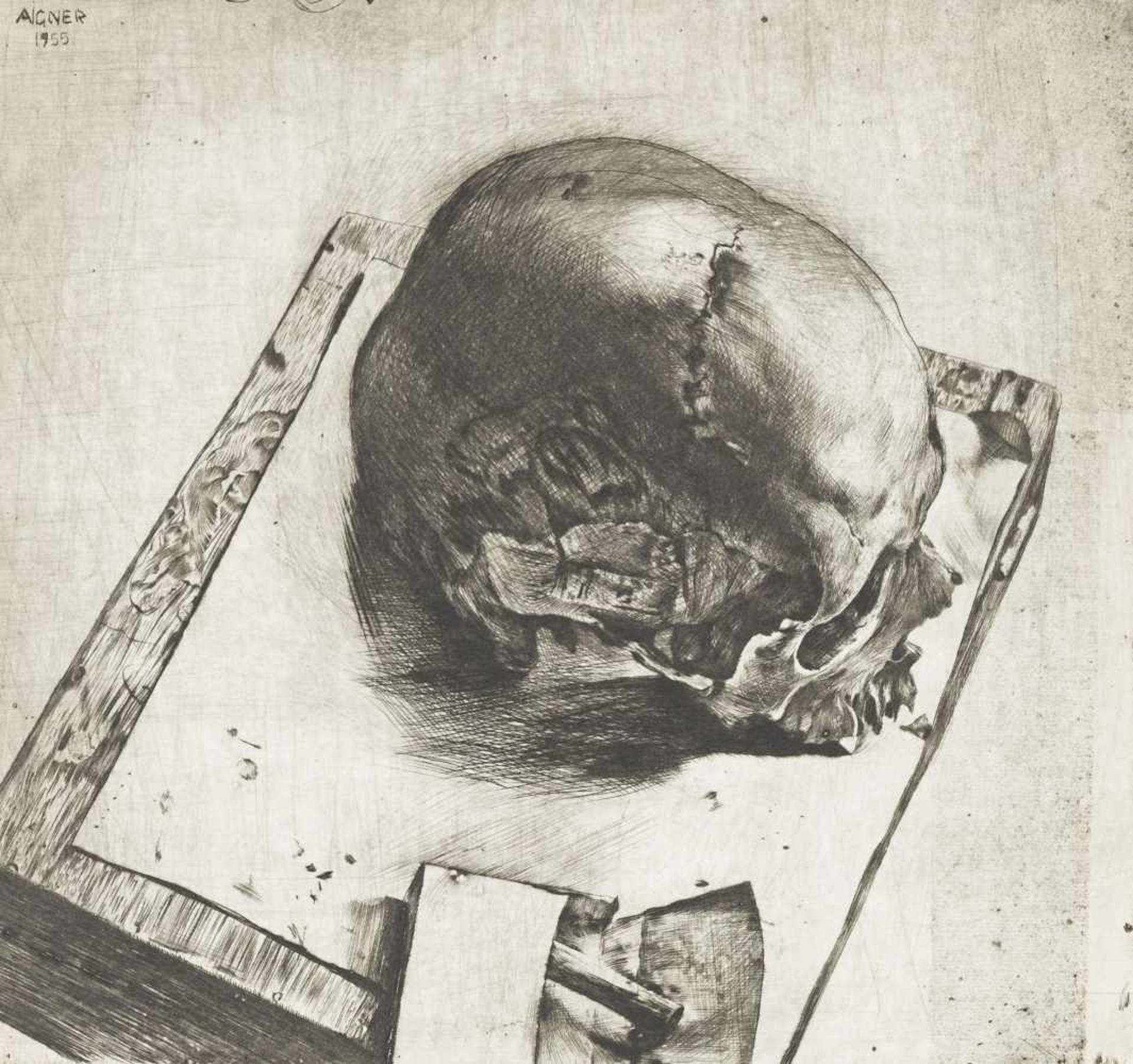 Aigner, Fritz Skull, 1955 Dry point etching on copper plaque Lower right signed and dated, lower