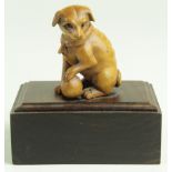 Walnut carved dog with a ball, on a mohogany plinth, total height 78mm approx.