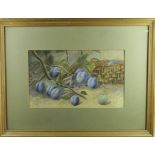 [Alfred Slater]. Watercolour, depicting a still life of fruit, including plums, artist initials to