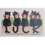 Louis Wain, Valentines, Lovely Views from Canterbury   (1)