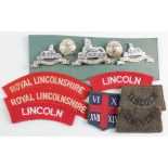 Lincolnshire badges + cloth inc shoulder titles, staybrights, etc (qty)