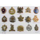 Board of Canadian Military cap badges (x15)
