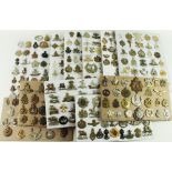 Cap badge collection - a large original collection mounted on boards, very wide range well worth a