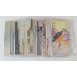 Novelty, small collection, real feathers etc   (approx 22 cards)