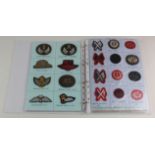 Cloth Trade and Qualification badge collection in modern folder (approx 116)