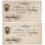 Wales Provincial note Cardigan (2), 1 Guinea unissued, unsigned remainders 18xx, (Outing 418e),