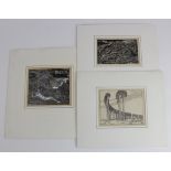 Paul Nash (1889-1946). Three small woodcuts thought to be by Paul Nash, depicting trees and foliage,