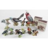 Beswick. A collection of fifteen Beswick birds, including Cockatoo (1180), Cuckoo (2315),