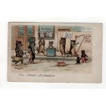 Louis Wain cats postcard - The Street Orchestra, postally used Leytonstone 1903.