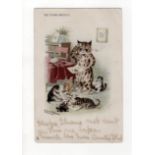 Louis Wain cats postcard - Raphael Tuck: The Young Artists, postally used Chiswick 1905.