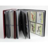 Collection of approx 24 sets of large size cards contained in modern albums, slight duplication,