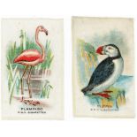 Phillips silks, Birds, part set 99/100 (missing Teal) contained in pages, mainly G - VG, cat