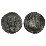 Roman Colonial bronze of Britannicus, c.16mm. of Moesia Inferior, Tomis, obverse:- Laureate head