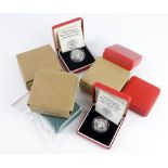 GB Royal Mint Silver Proof Piedfort £1 Coins (8) cased with certs: 1983, 1984, 1985, 1986, 1987,