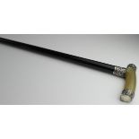 Walking Stick. Victorian silver mounted walking stick with rhino horn handle (?), hallmarked 'London