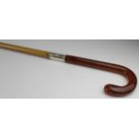 Walking Stick. An Edwardian walking stick with amber crook handle, white metal collar & malacca