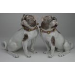 Dresden. A pair of Dresden pugs with pink collars, each figure with makers mark 'Dresden 76'