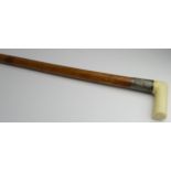 Walking Cane. An Edwardian walking cane with L shaped ivory handle with cartouche collar, on a