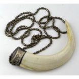 Boar's tusk necklace in a white metal mount, tusk length 95mm approx.