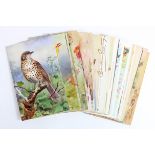 Birds, nice selection, Roland Green noted   (approx 30 cards)