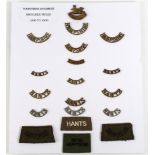 Badges: Hampshire Regiment Shoulder Titles 1900 to 1950 Metal & Cloth. (approx 19 Items)