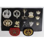 Cap Badges - variety of anodised badges, plus 2x QC bullion badges. (13 items)