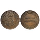 Australia, Toowoomba, Queensland: T.F. Merry & Co. Penny Token ND (1863), KM# Tn167.1, VF