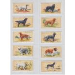 Cigarette cards, Hignett's, Dogs (set of 50 cards) (vg)