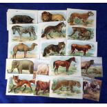 Postcards, 'Famous British Cattle' by Nora Drummond published by Tuck Series 9507 (set, 6) (vg) sold