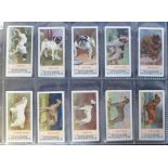 Cigarette & trade cards, album containing a collection of 15 dog related sets inc. Sinclair '
