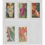 Trade cards, Goodwin's, World's Most Beautiful Fishes, 5 cards, nos 1, 12, 18, 22 & 23 (gen gd) (5)