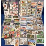 Trade Cards, a very large qty of sets, part sets and odds mostly in sleeves inc. Priory Tea, Typhoo,