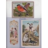 Trade cards, Netherlands, Van Houten, Bird Portraits, 'X' size (set, 8 cards, English text), sold