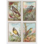 Trade cards, France, Chocolat Louit, Bird Portraits, 'X' size, 48 cards (gd/vg)