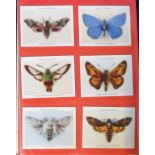 Cigarette & trade cards, album containing a collection of 11 butterfly and moth related sets inc.