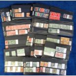 Stamps, GB, large quantity of stamps 1902-51, on stock cards, all reigns, mint and used, with values