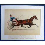 Cigarette card, USA, Kinney, Great American Trotters, premium issue in exchange for coupons, type '