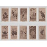Cigarette Cards, H Stevens and Co, Zoo series (set 25 cards) (mostly vg)