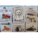 Postcards, Dogs, a collection of 38 cards Inc. 27 coloured art studies by Mac inc. Spaniels, West
