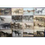 Postcards, Trotting & harness racing, a collection of 20 cards, mostly RP's inc. USA, Japan, Germany