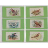 Tobacco silks, Phillip's, Birds, 'M' size (set, 100 silks plus 10 duplicates) (gd)