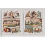 Cigarette cards, Wills, The British Empire, 'P' size (set, 12 cards) (gd/vg) (12)