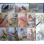 Postcards, Birds, a collection of approx 80 bird-related cards, mainly artist-drawn inc. Roland