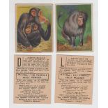 Trade cards, Canada, Harry Horne Co, Animals & Birds of the World, 'L' size, (78 cards) (some