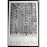 Art Print, Ansel Adams 'Pine Forest in Snow', print of image from 1932, framed and glazed, blind-