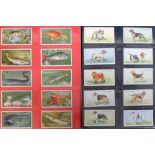 Cigarette & trade cards, 2 albums of sets, one containing a collection of Dog-related cards inc.