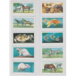 Trade cards, Brooke Bond, South Africa, Our Pets (set, 50 cards) (vg)