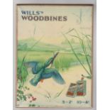 Tobacco advertising, Wills, tin & board counter advertising display sign for 'Wills's Woodbines'