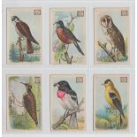 Trade cards, USA, Church & Dwight, Useful Birds of America, three sets, 1st Series 'M' size (30