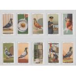 Cigarette cards, Ogden's, Racing Pigeons (set, 50 cards) (ex)